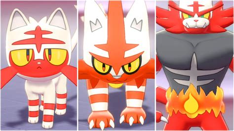 litten evolution|Litten .